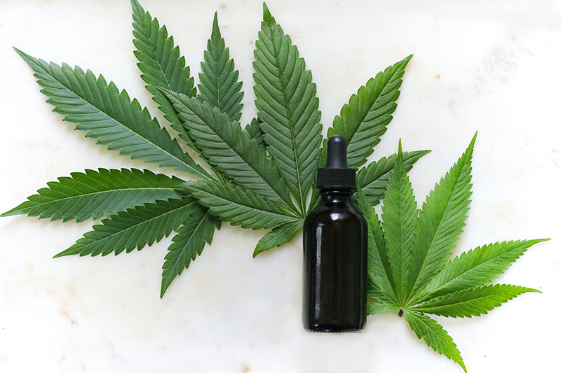 Important Tips for Buying CBD Oil